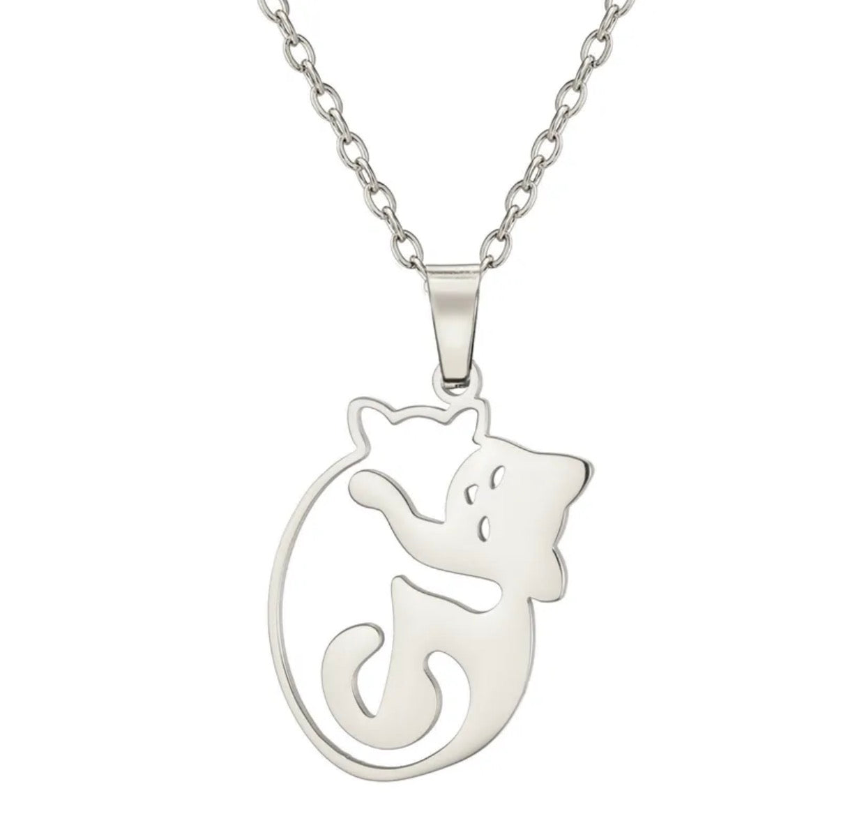 00182 Collar gatos en acero inoxidable