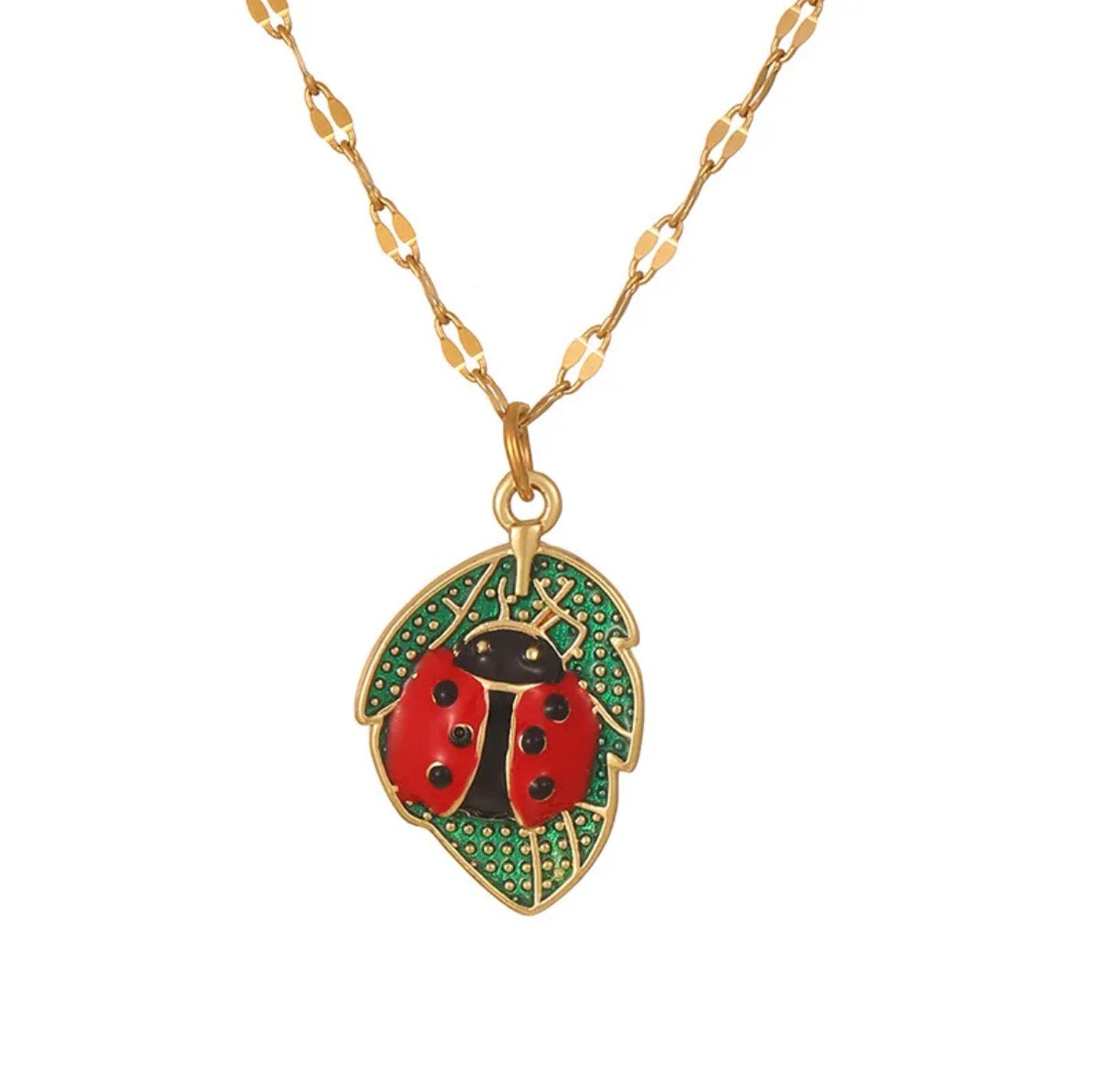00194 Collar mariquita de acero inoxidable