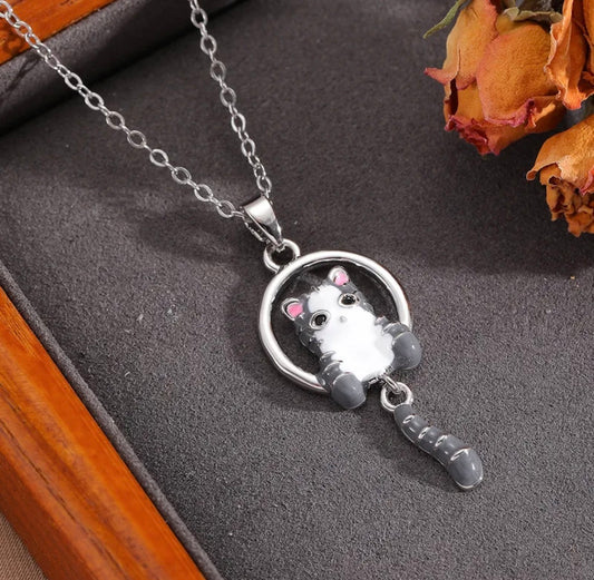 00161 Collar Gato en Acero