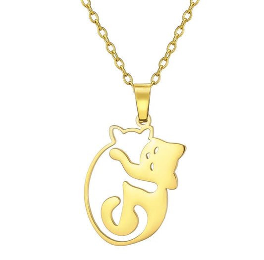 00182 Collar gatos en acero inoxidable