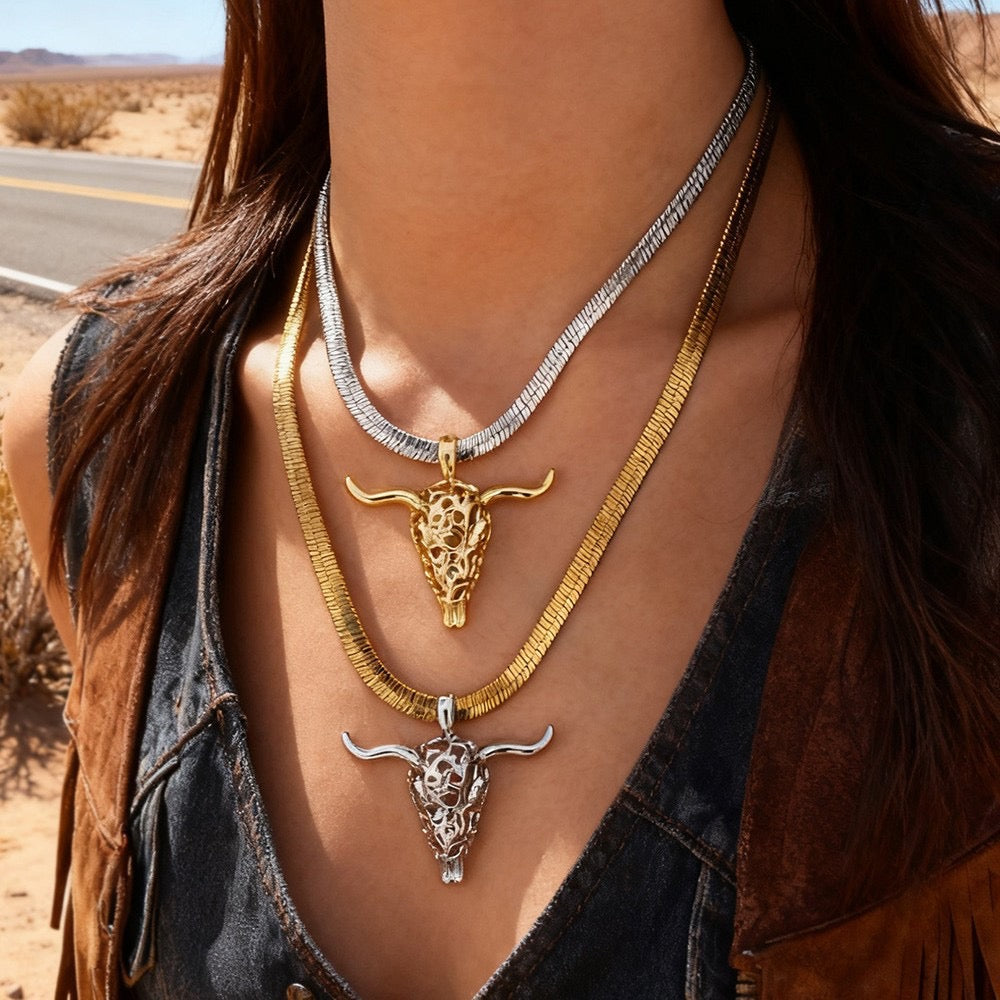 00237 Collar Texas acero inoxidable